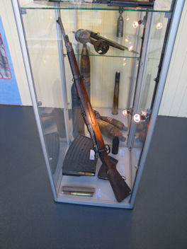 German Mauser Vz24